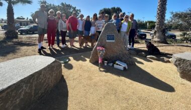 UPS driver Steven Krueger ‘forever in Ocean Beach’ four years after plane crash – NBC 7 San Diego