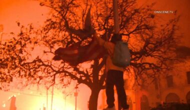 City Council to Review Hiring Outside Counsel for Probe into LA Fire Response