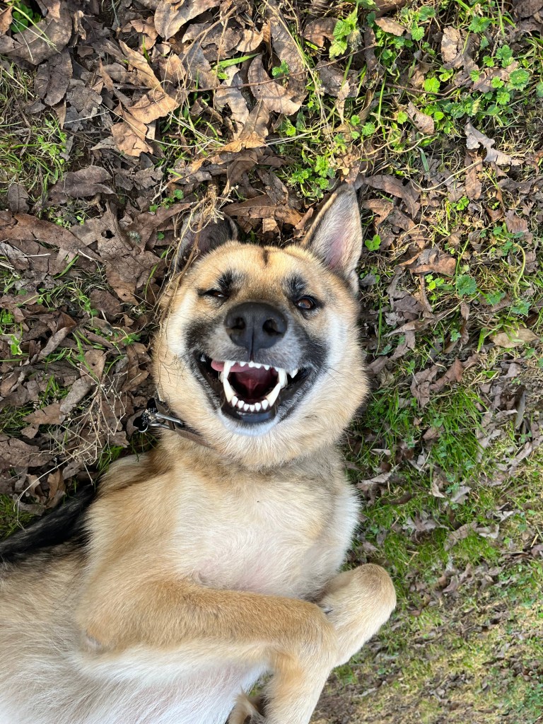 (Courtesy photo | Nathan Price)