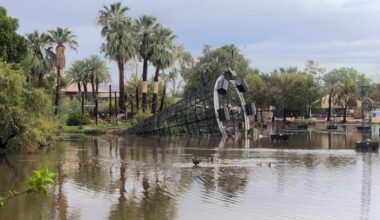 (Phoenix Zoo photo)...