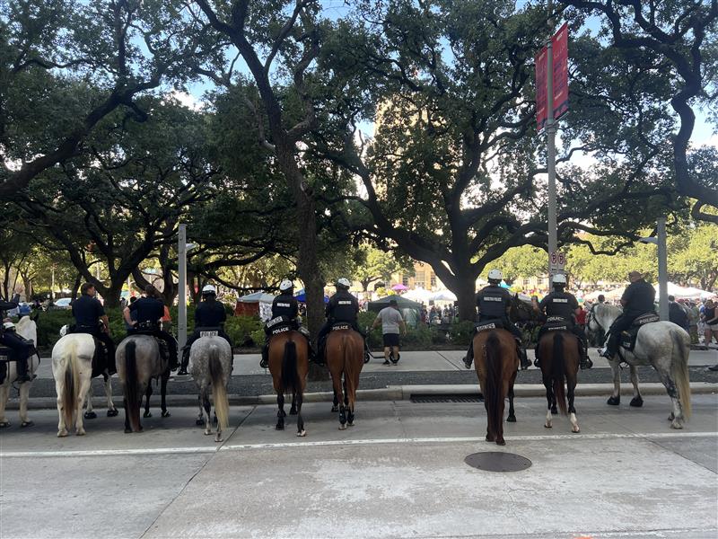 No Kings Protest Houston