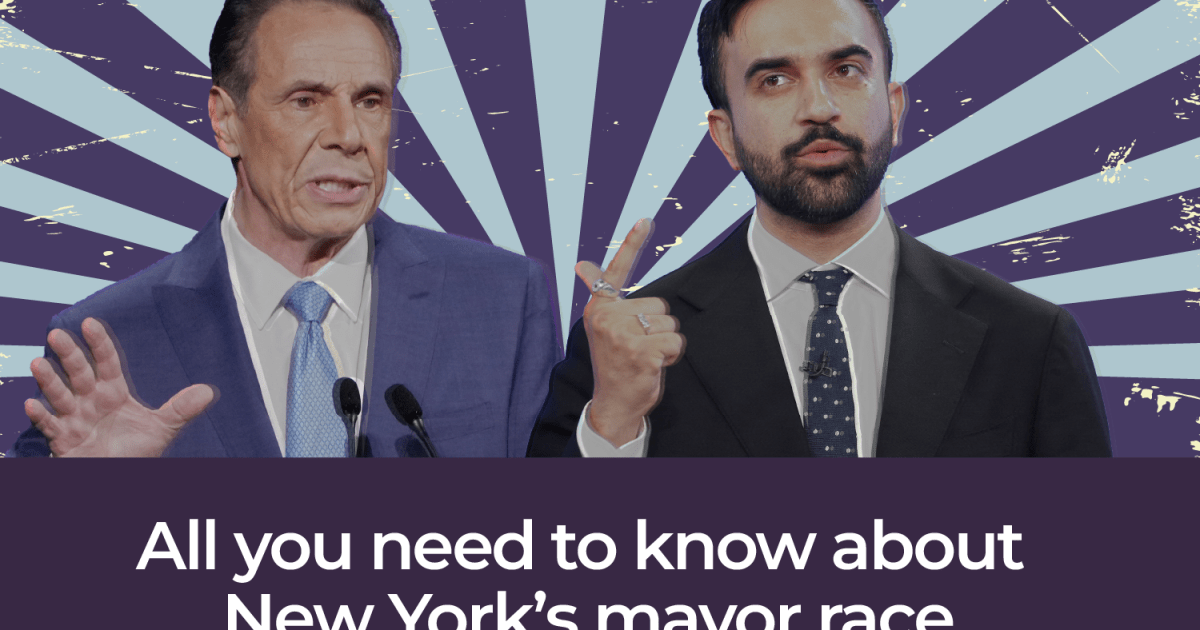 The New York City mayoral race – in five maps and charts | Infographic News