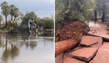 Phoenix Zoo to close temporarily after storms cause extensive damage