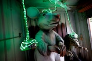 Halloween displays are seen at the entrance of the Maze near Denton City Hall, Thursday,...