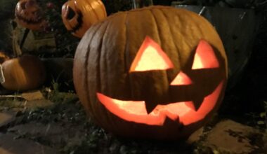 Halloween display in Chicago suburb goes viral – NBC Chicago