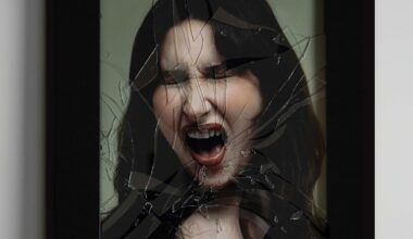 Jane Inc.: A RUPTURE A CANYON A BIRTH Album Review