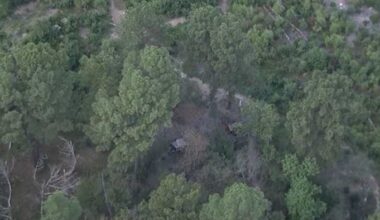 Investigation underway after body found in woods in north Harris County