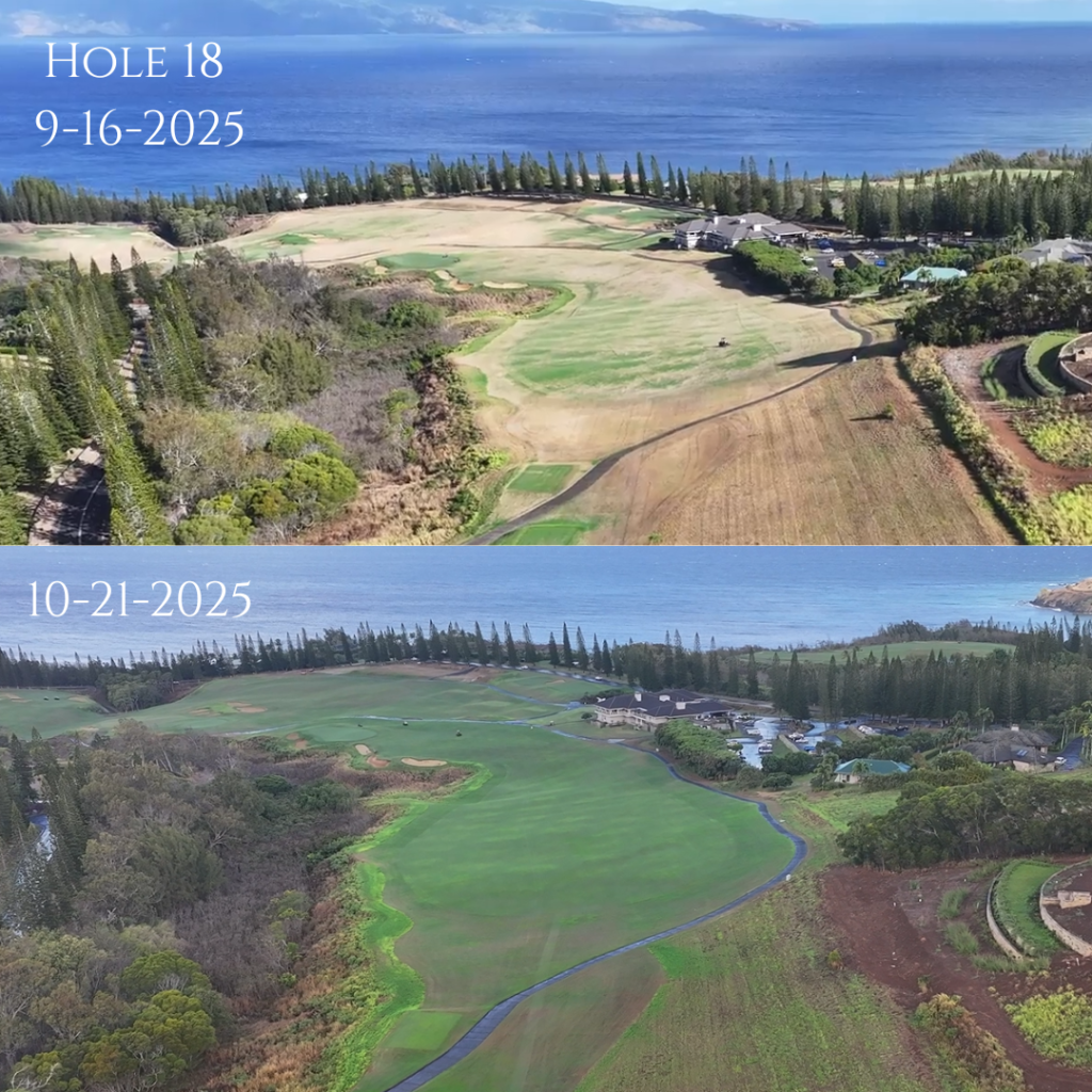 Kapalua Golf’s Plantation Course to reopen on Nov. 10 after two month closure : Maui Now