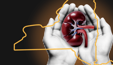 New York Launches Organ Donation Program, Ending…