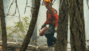 All of BC Wildfire Service joins BCGEU strike