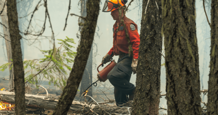 All of BC Wildfire Service joins BCGEU strike