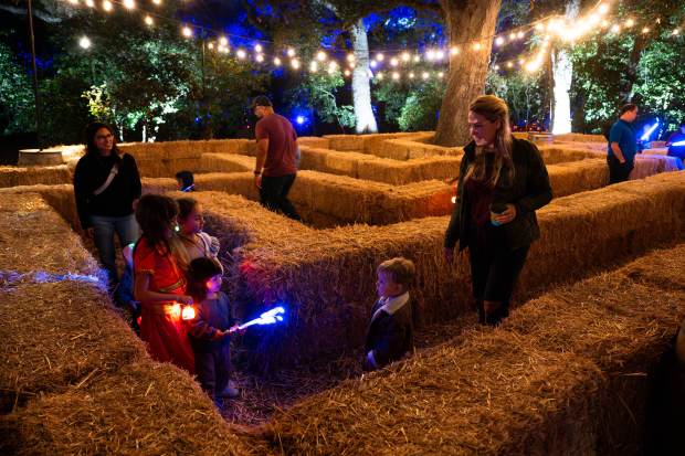 Children make their way through the haystack maze at “Carved”...