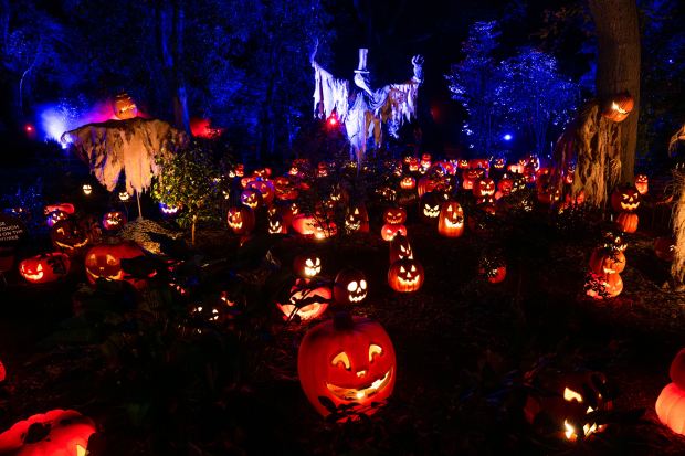 The Pumpkin Forest at “Carved” in Descanso Gardens on Friday,...