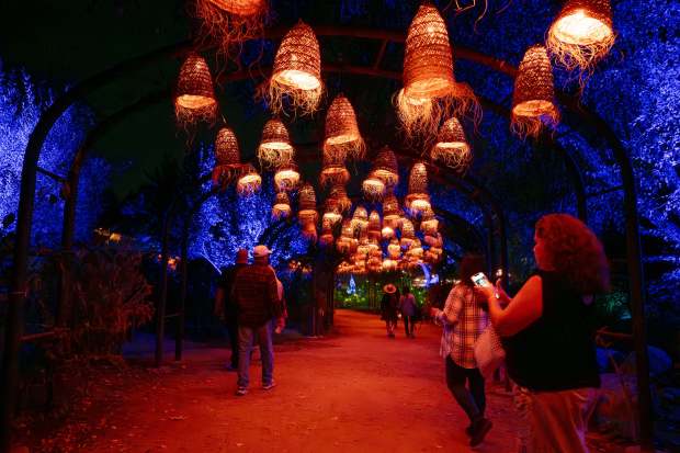 Visitors head towards the Ghost Garden at “Carved” in Descanso...