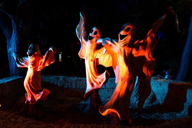 Wooden ghosts carved from trees by Chainsaw Jenna at “Carved”...