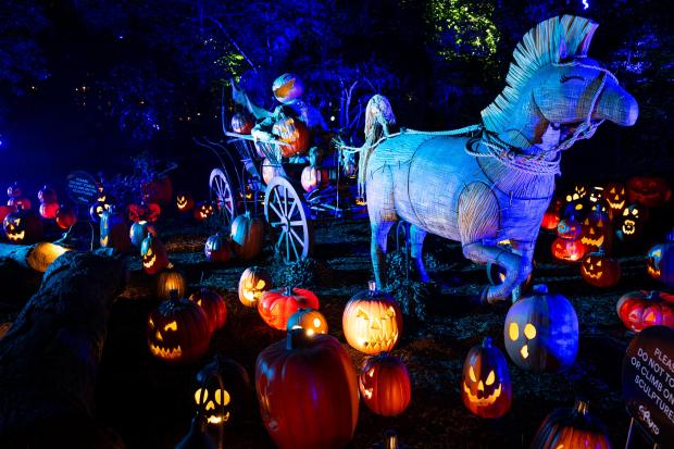 A wagon driven by a pumpkin rolls though the Pumpkin...