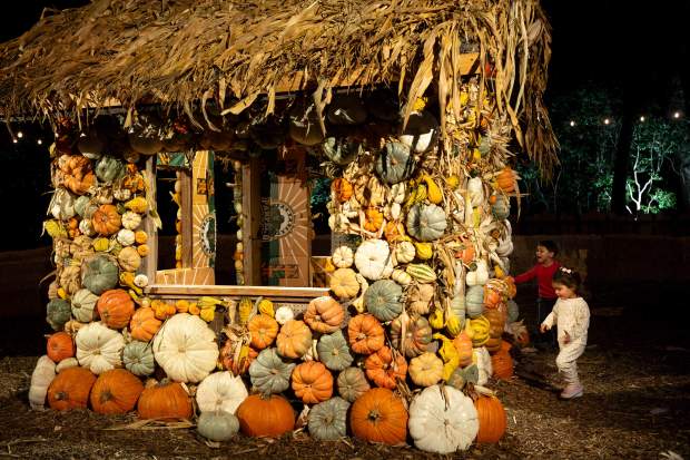 The kid-friendly pumpkin house at “Carved” in Descanso Gardens on...