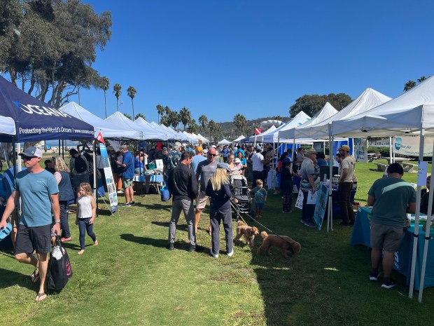 Guests at this year's Walter Munk Day make their way through a variety of tents featuring local organizations and institutions. (Noah Lyons)