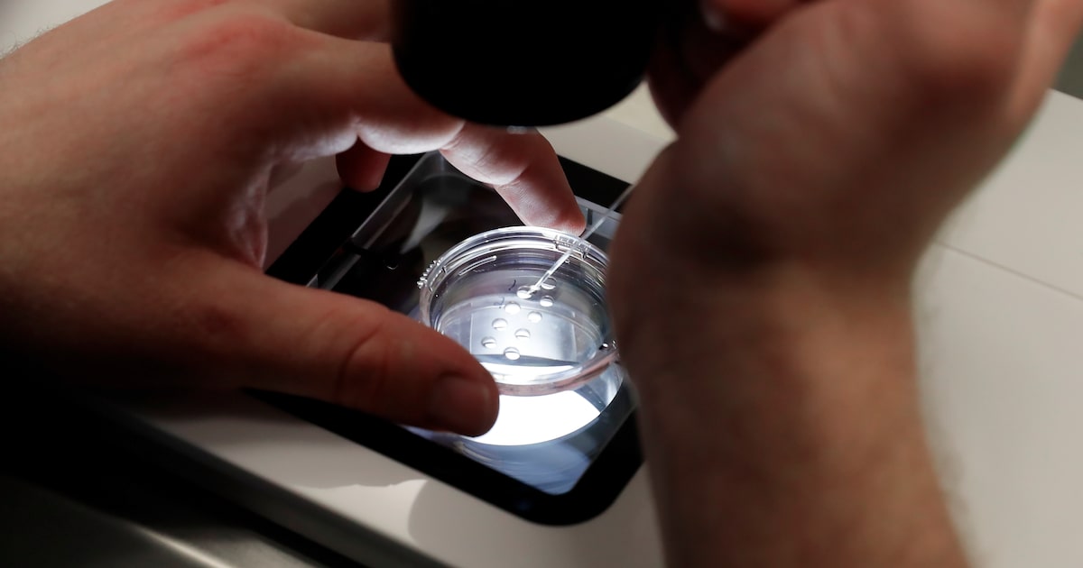 Fertility startup to open Dallas lab for AI-driven embryo testing