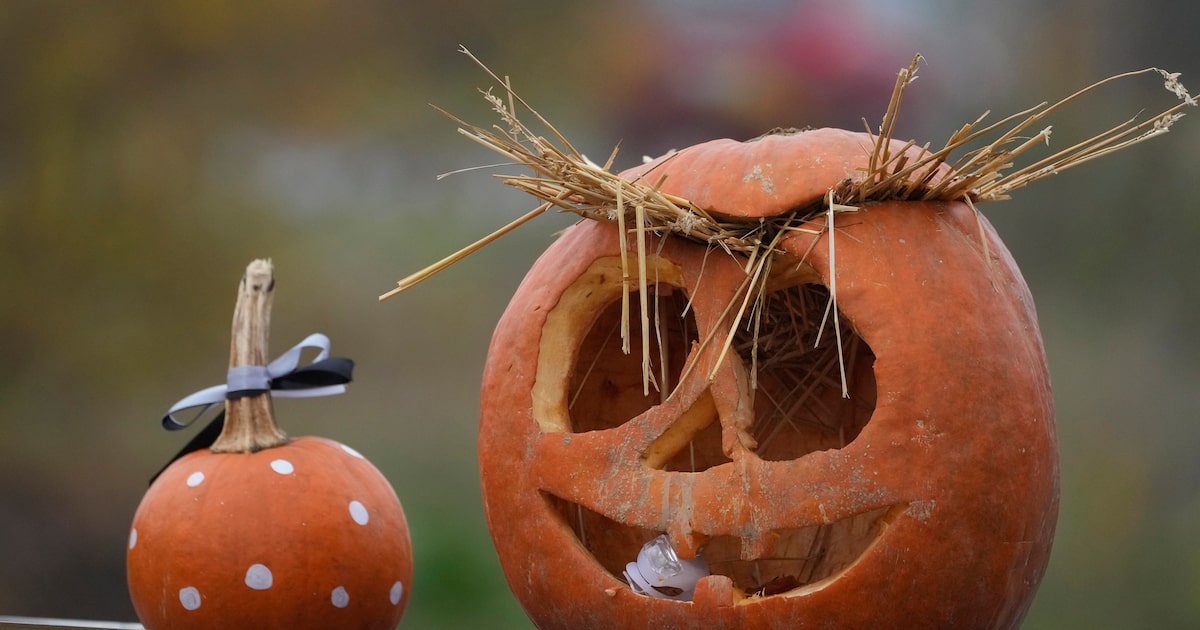 A foggy Sunday morning in North Texas before clear, cool week