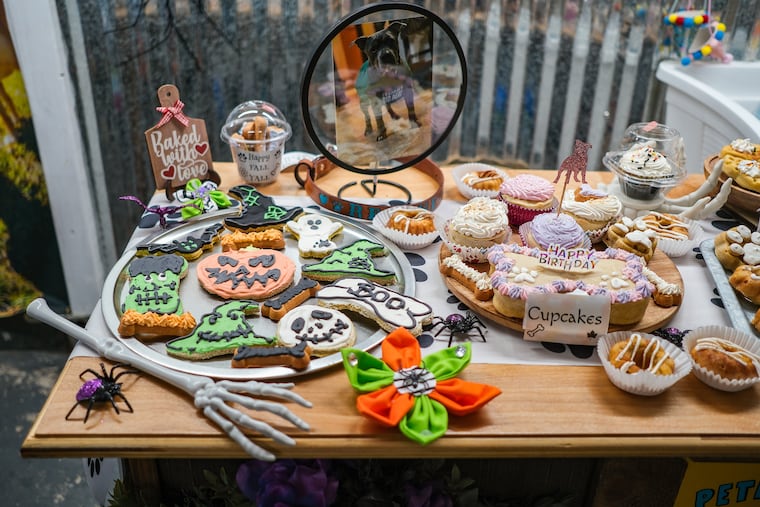 An assortment of dog-friendly baked goods from Pete’s K9 Treats in Glendora, N.J., an allergy-safe pet bakery that owner owner Nicole Morelli-Sutter’s named after her pitbull.