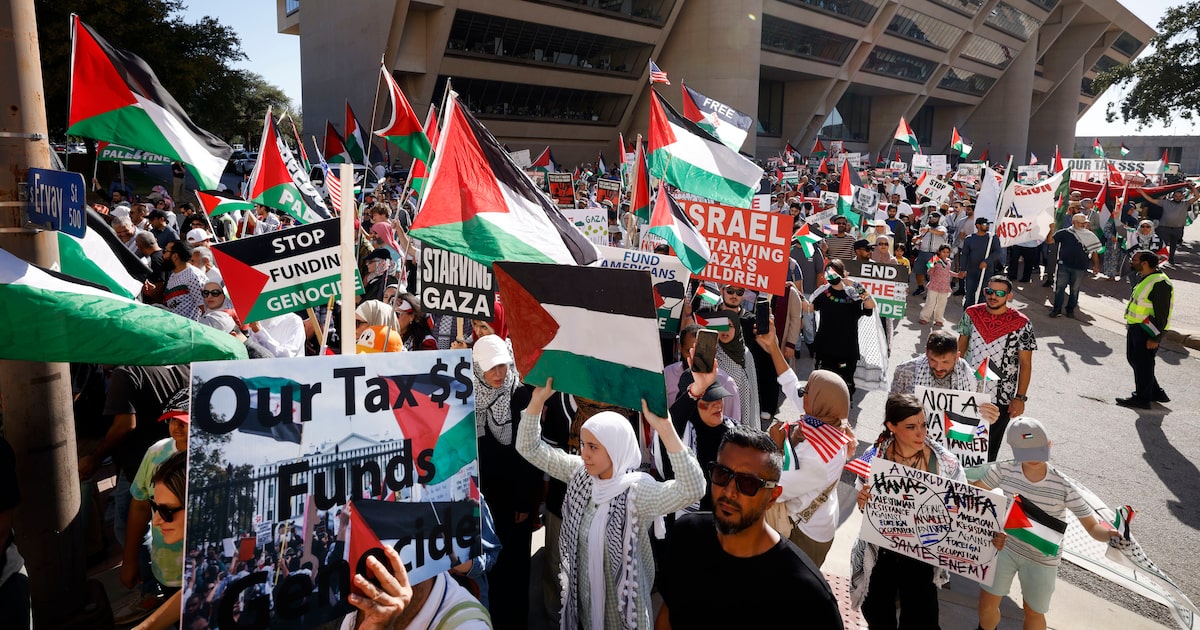 Pro-Palestinian protesters rally at Dallas City Hall against ‘blatant cruelty’ in Gaza