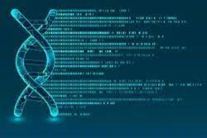 DNA and Gene Cloning Services