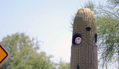 a traffic surveillance camera inside a fake cactus