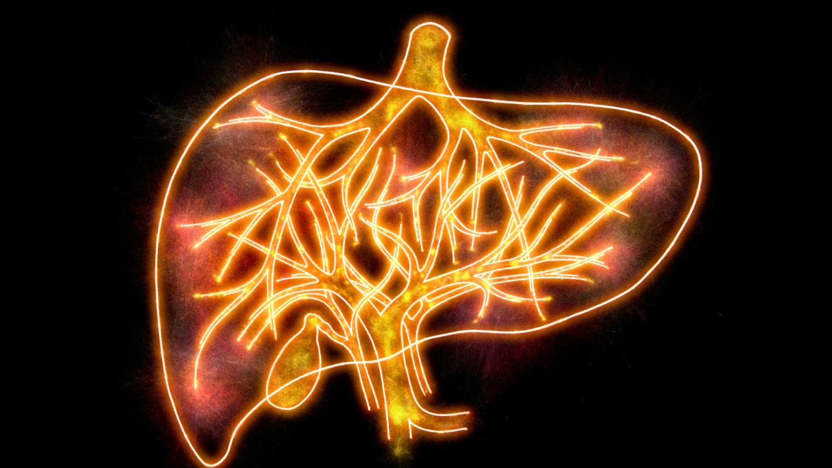 Up to 13% of Dementia Diagnoses May Actually Be a Treatable Condition : ScienceAlert