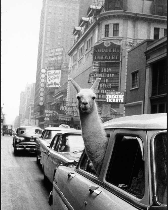 The Statler Gets Historic Hotels Nom, and the List of Others Is a Fantastic Rabbit Hole of Its Own