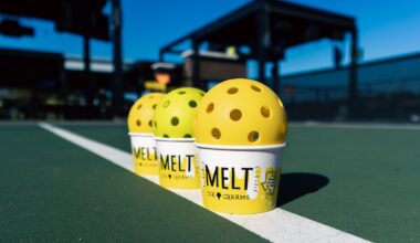 MELT Ice Creams Expands to Grapevine — Scoops & Fun