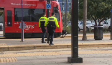 San Diego MTS says crime down almost 25% from last year – NBC 7 San Diego