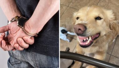 Man falls through shelter roof during MCSO investigation...