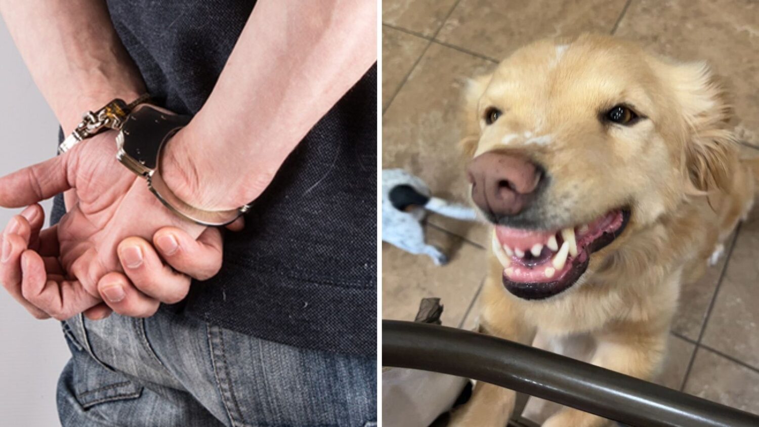 Man falls through shelter roof during MCSO investigation...