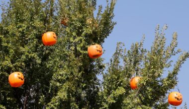 Brace for a brisk night of trick-or-treating