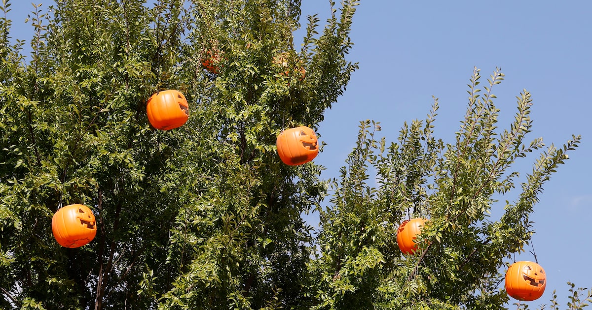 Brace for a brisk night of trick-or-treating