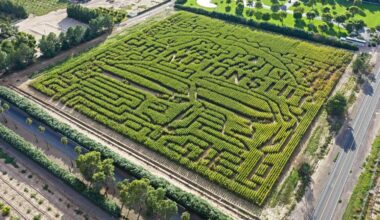 Cornerstone display at Schnepf Farms’ Pumpkin & Chili Party Primes the Valley for NASCAR’s Season Finale at Phoenix Raceway