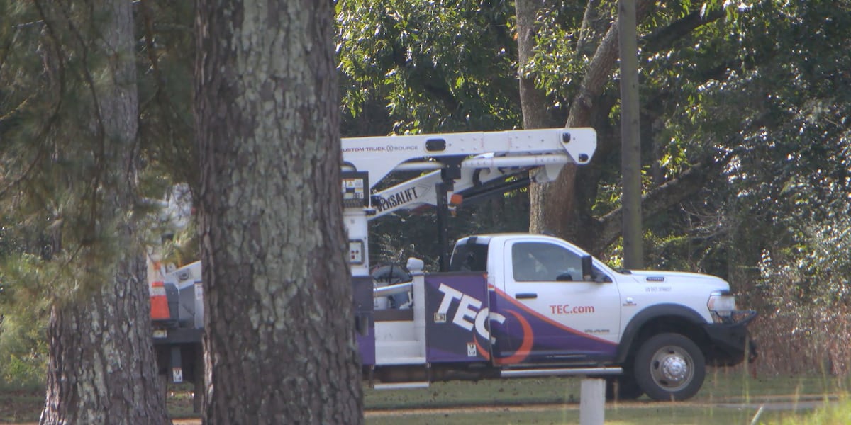 TEC expanding broadband access to more than 700 homes, businesses in Jasper County