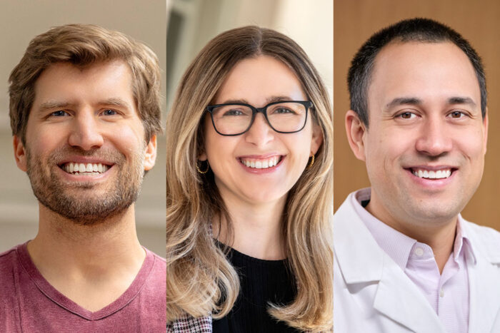 Michael Meers, PhD, Janet Sorrell, PhD, and Andrew Young, MD, PhD.