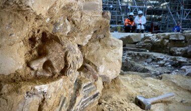 The Kimbell Hosts Arkhaios Archaeology Film Festival