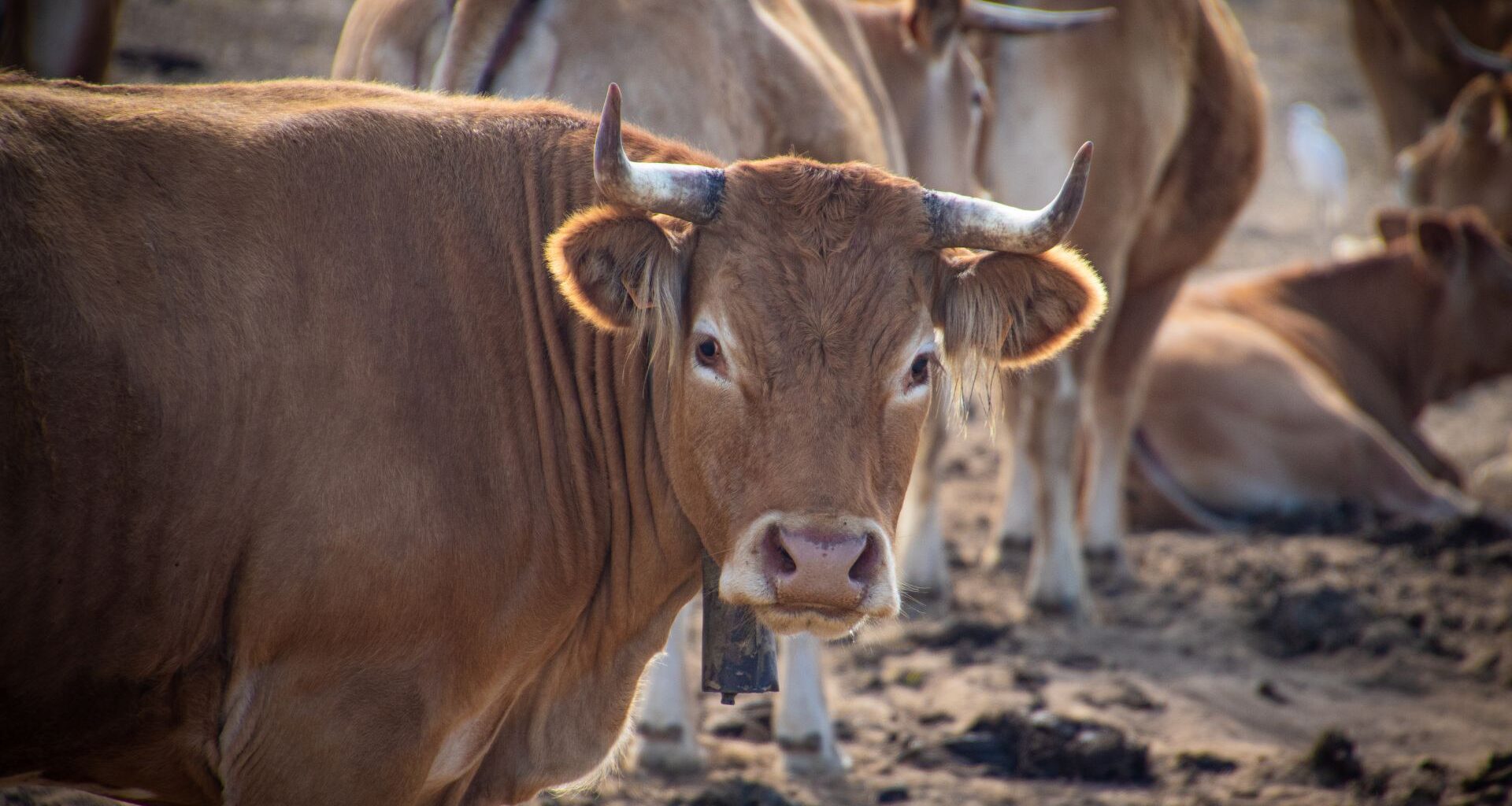 19-year-old labourer remanded to prison for child pornography