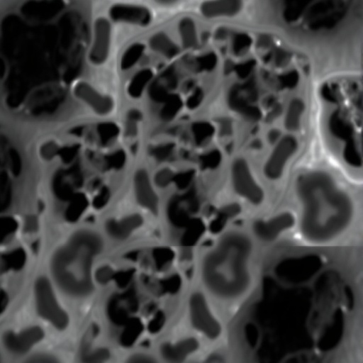 NR2E1 Gene Methylation Influences Beef Cattle Adipocytes