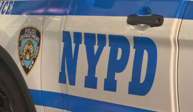 Woman dies after struck in head by falling solar panel in Brooklyn – NBC New York