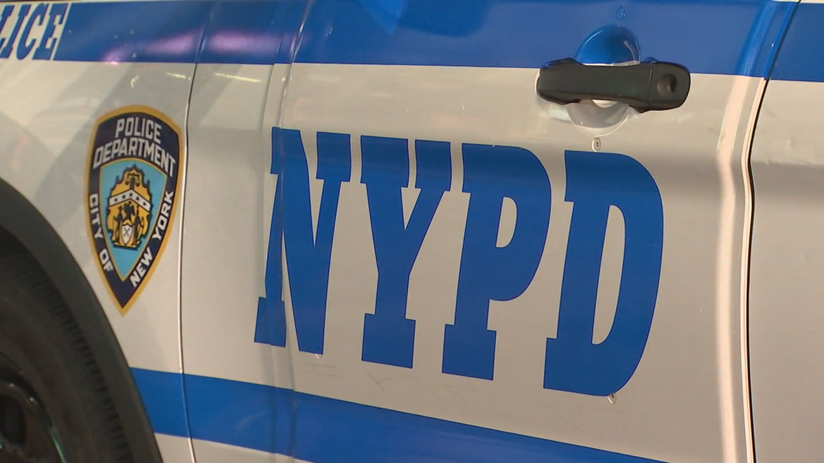Woman dies after struck in head by falling solar panel in Brooklyn – NBC New York