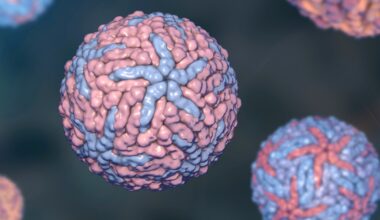 New York Confirms First Locally Acquired Case of Chikungunya Virus