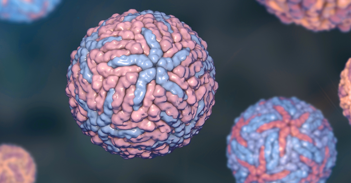 New York Confirms First Locally Acquired Case of Chikungunya Virus