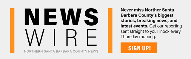 What really drove the LA fires?