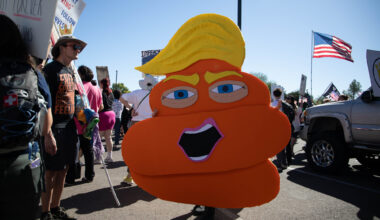 donald trump as an orange pile of poop with baby doll arms