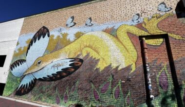 Plan to create special district to collect fees from 5 Points businesses set for City Council vote