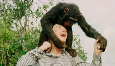Jane Goodall’s quiet grace shined in Dallas